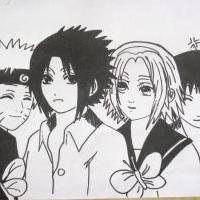 Naruto, Sasuke, Sakura, Sai - to by byl ale tým, co?? :)